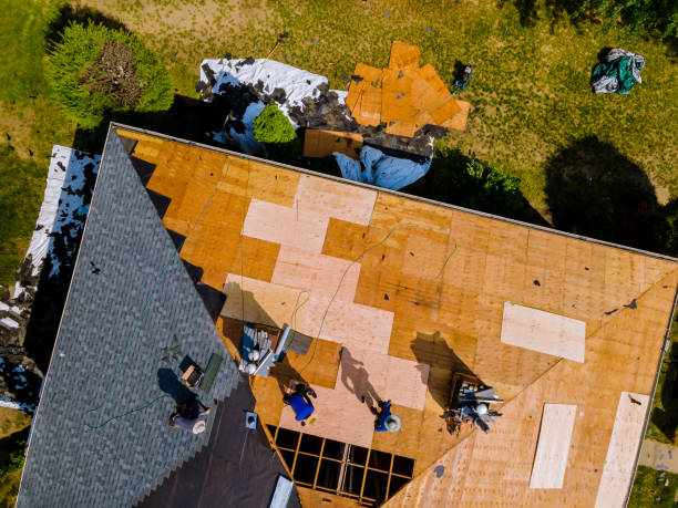 Best Roof Restoration Services  in Grass Lake, MI