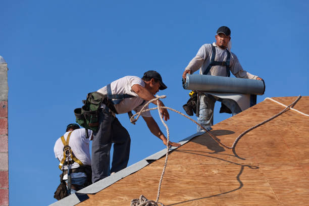 Best Roof Maintenance Services  in Grass Lake, MI