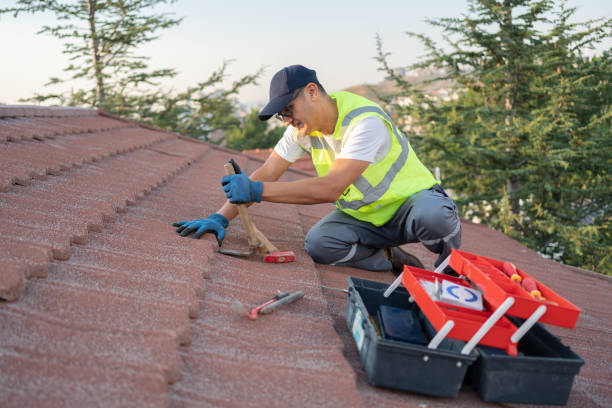 Best New Roof Installation  in Grass Lake, MI
