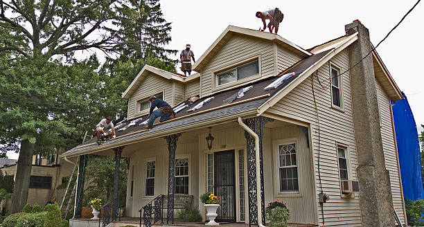 Best Metal Roofing Contractor  in Grass Lake, MI