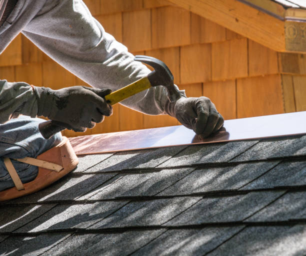 Best Roofing Contractor Near Me  in Grass Lake, MI